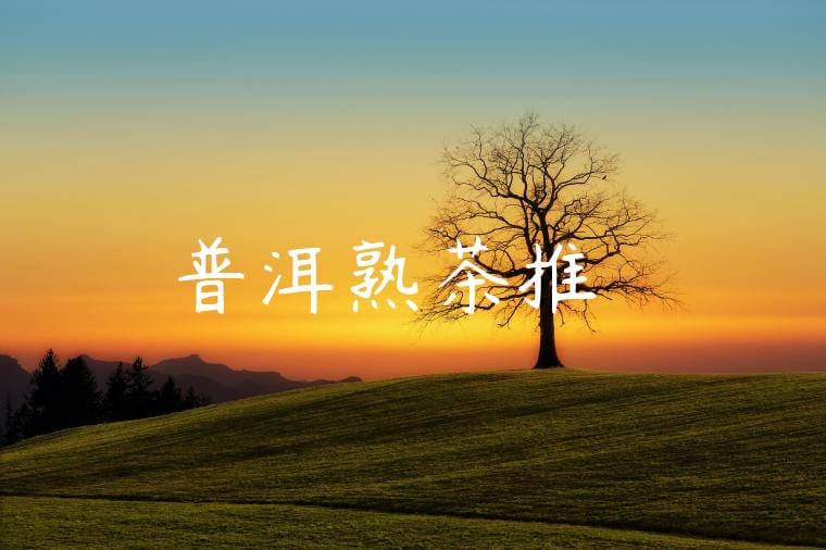 普洱熟茶推薦詞