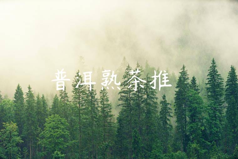 普洱熟茶推薦語