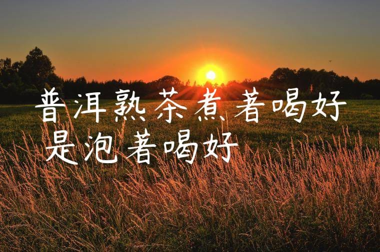 普洱熟茶煮著喝好還是泡著喝好