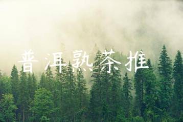 wpac-thumb-14037_jpg