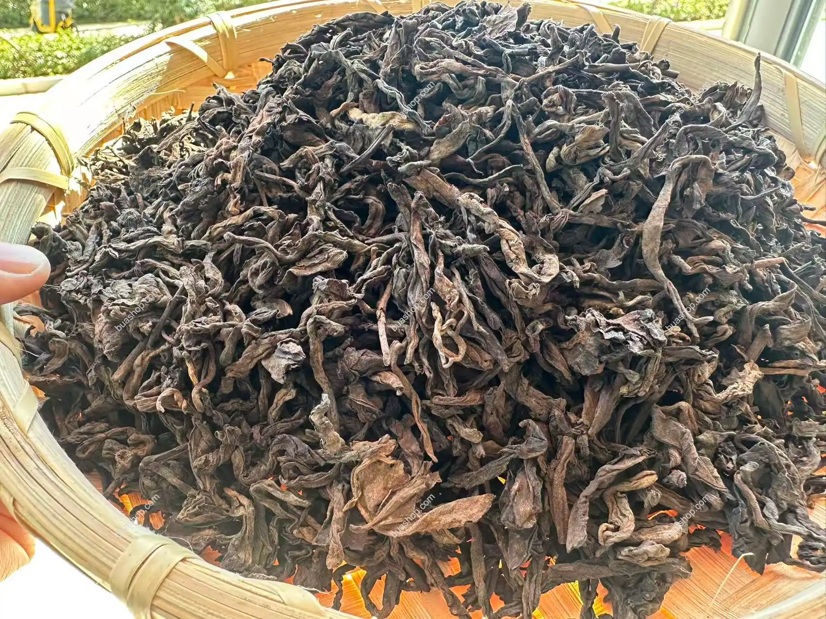 冰岛老寨 古树熟茶 2020年秋(共250克) 普洱茶 BUASHOP普洱老茶