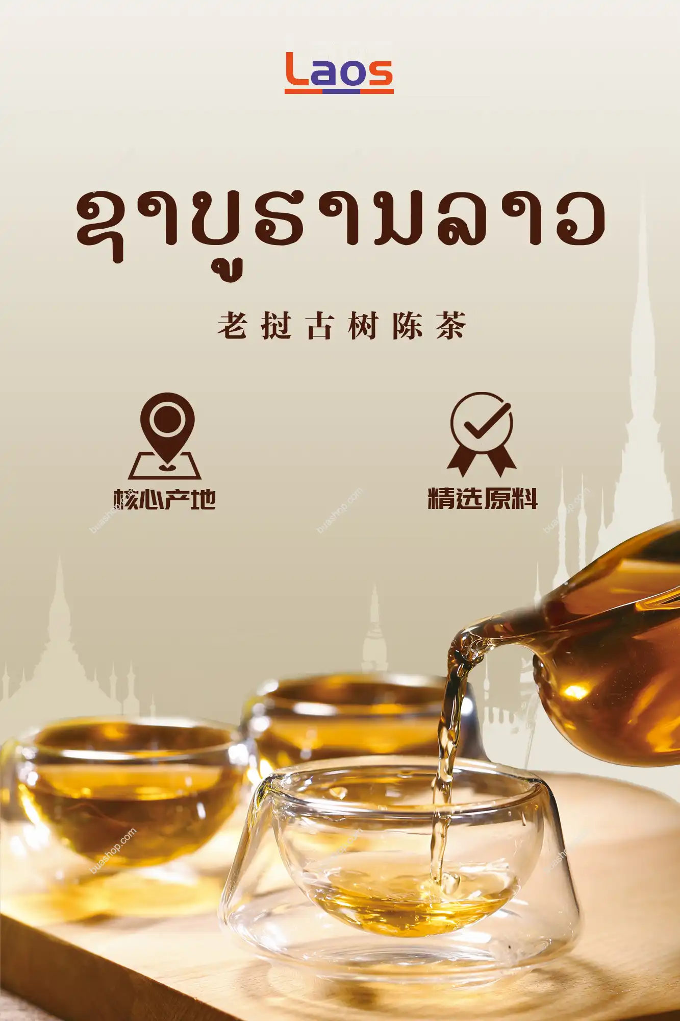 2005年老挝古树陈茶共180克 普洱茶 BUASHOP普洱老茶