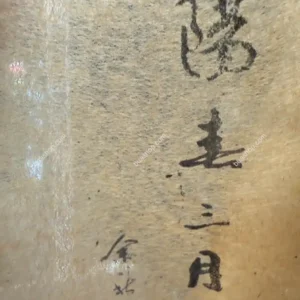 2005年阳春三月药香老熟砖-共250克