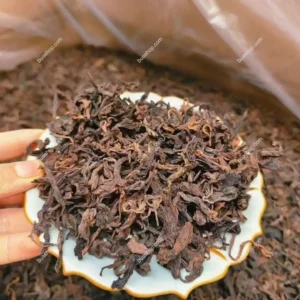 云南90年代古树樟香熟普洱茶香大叶茶叶散装500克