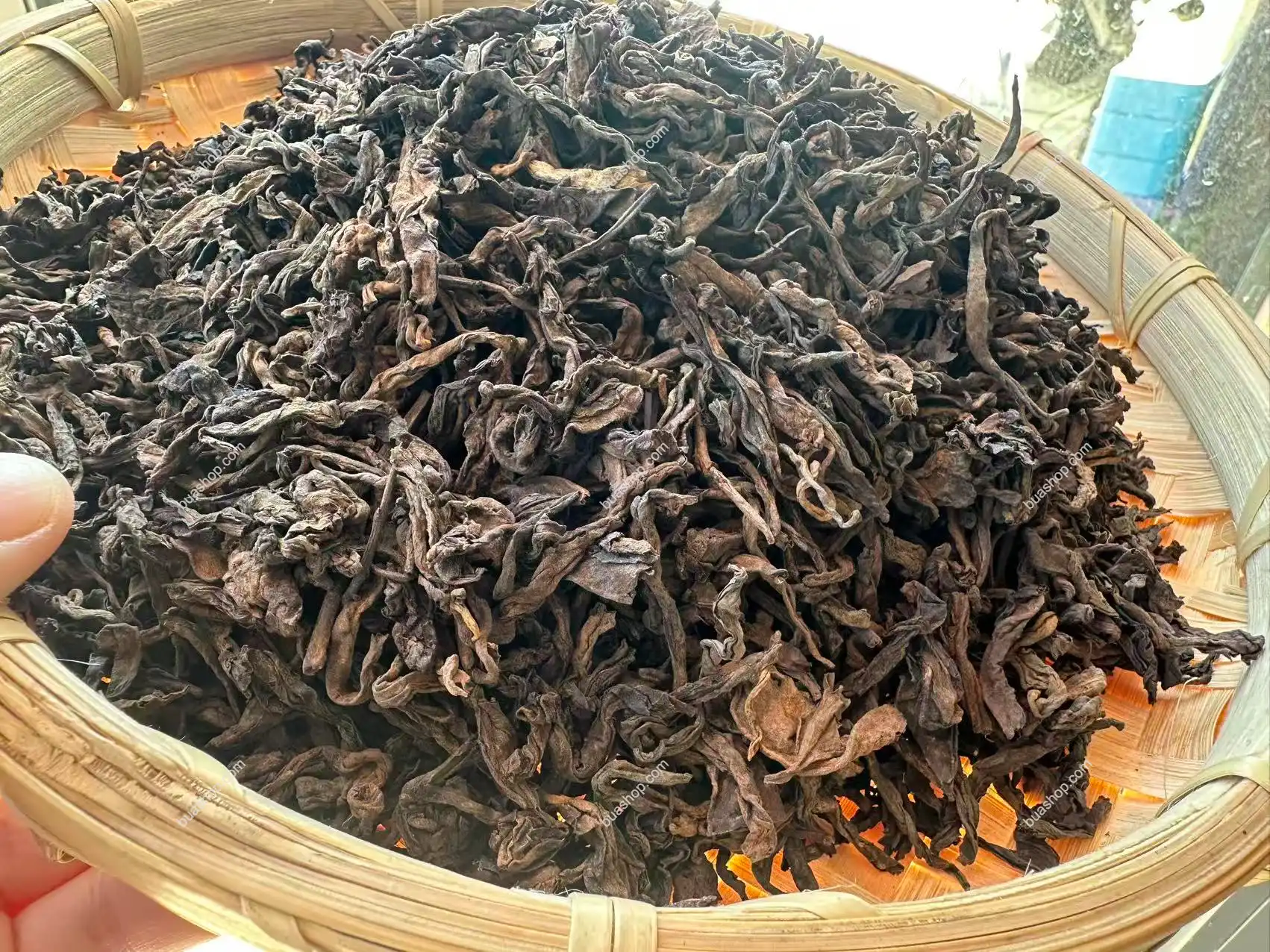 冰岛老寨 古树熟茶 2020年秋(共250克)